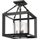 Smyth 3 Light 12 inch Matte Black Mini Chandelier Ceiling Light in Clear Glass, Mini